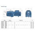 Pompa JSWm 3BH Pedrollo