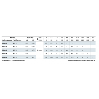 Pompa zatapialna RX 5 400V Pedrollo