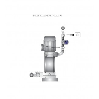 SWITCH MATIC 1 elektroniczny sterownik pomp 230V