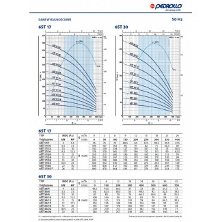 Pompa głębinowa 6ST 17/24 Pedrollo z silnikiem olejowym 6PD