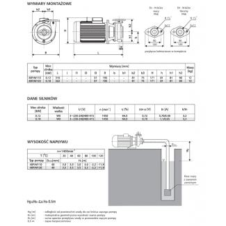 Pompa 40PJM110 LFP Leszno 1450 obr.
