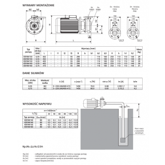Pompa 65PJM130 LFP Leszno 1450 obr.
