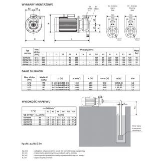 Pompa 65PJM120 LFP Leszno 1450 obr.
