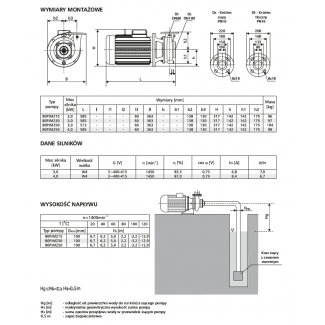 Pompa 80PJM230 LFP Leszno 1450 obr.