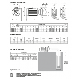 Pompa 100PJM140 LFP Leszno 1450 obr.