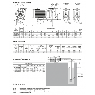 Pompa 100PJM215 LFP Leszno 1450 obr.