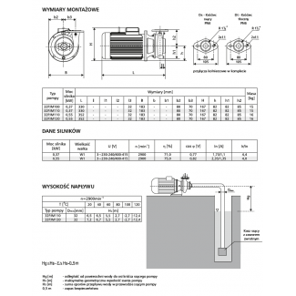 Pompa 32PJM110 LFP Leszno 2900 obr.