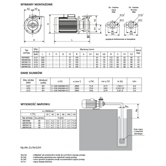 Pompa 40PJM90 LFP Leszno 0,75kw 2900 obr.