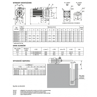 Pompa 40PJM130 LFP Leszno 2900 obr.