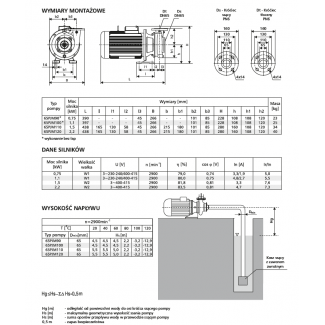 Pompa 65PJM110 LFP Leszno 2900 obr.