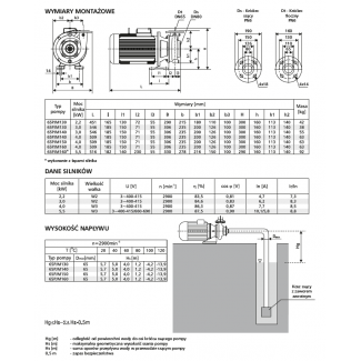 Pompa 65PJM140 LFP Leszno 2900 obr.