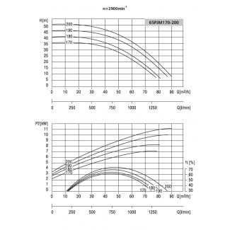 Pompa 65PJM170 LFP Leszno 2900 obr.