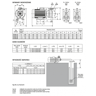 Pompa 65PJM170 LFP Leszno 2900 obr.