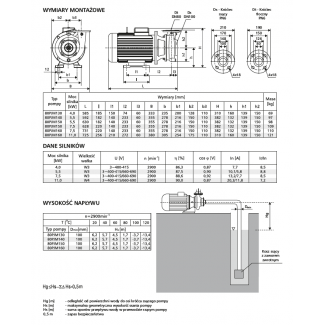 Pompa 80PJM150 LFP Leszno 2900 obr.